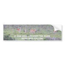 If one deer crosses bumper sticker