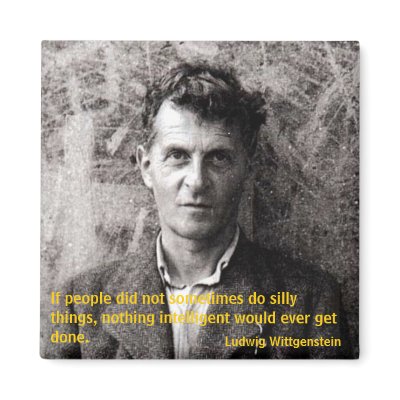 If people did not sometimes do silly things... fridge magnet by kriskris