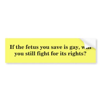 If the fetus you save is gay...? bumper stickers