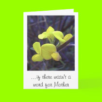 ...if there wasn't a word for Mother cards