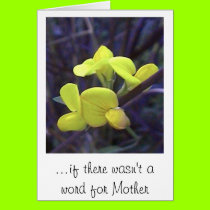 ...if there wasn't a word for Mother cards