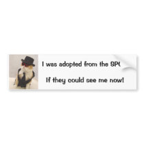 If they could see me now.... bumper stickers by myrtieshuman If they could see me now.... bumper stickers