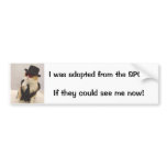 If they could see me now.... bumper stickers