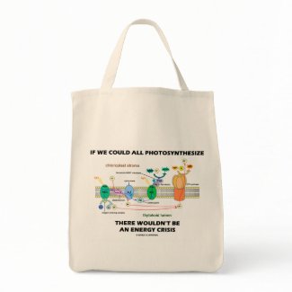 If We Could All Photosynthesize Wouldn't Be Energy bag