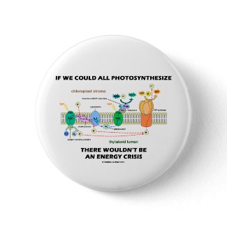 If We Could All Photosynthesize Wouldn't Be Energy button