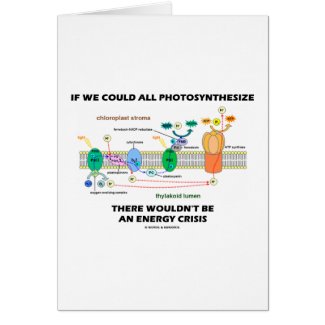 If We Could All Photosynthesize Wouldn't Be Energy card