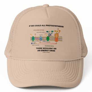 If We Could All Photosynthesize Wouldn't Be Energy hat