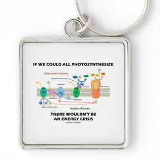 If We Could All Photosynthesize Wouldn't Be Energy keychain