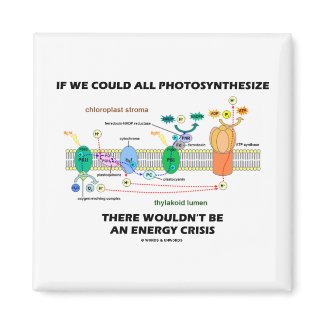 If We Could All Photosynthesize Wouldn't Be Energy magnet
