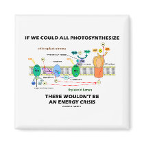 If We Could All Photosynthesize Wouldn't Be Energy Refrigerator Magnet