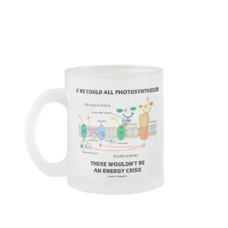 If We Could All Photosynthesize Wouldn't Be Energy mug