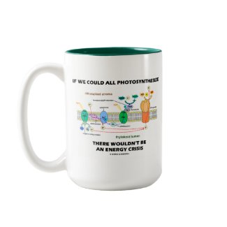 If We Could All Photosynthesize Wouldn't Be Energy mug