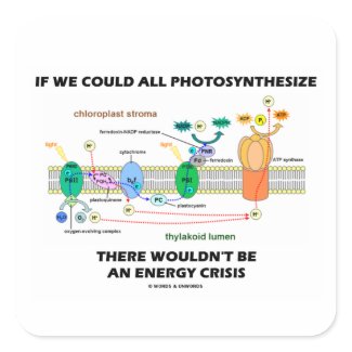 If We Could All Photosynthesize Wouldn't Be Energy sticker