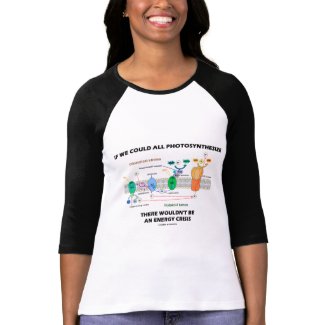 If We Could All Photosynthesize Wouldn't Be Energy shirt