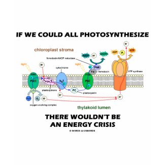 If We Could All Photosynthesize Wouldn't Be Energy shirt