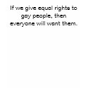 If we give equal rights to gay people... t-shirts