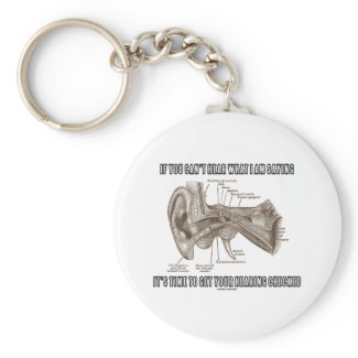 If You Can't Hear What I Am Saying (Ear Anatomy) Key Chain