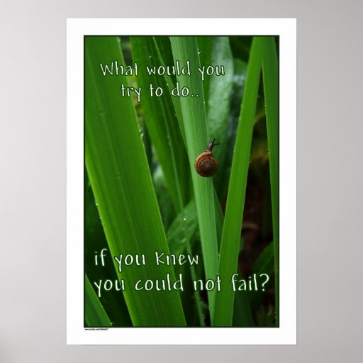 If You Couldn't Fail Poster print