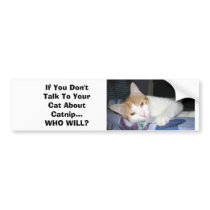 If You Don't Talk To Your Cat About Catnip bumper stickers by ajinat If You Don't Talk To Your Cat About Catnip bumper stickers