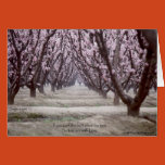 love, quotations, inspirational, sagisms, words to