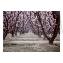 If you want the fruit, plant the tree. cards