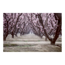 If you want the fruit, plant the tree. posters