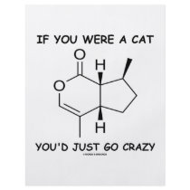 If You Were A Cat You'd Just Go Crazy flyers by wordsunwords If You Were A Cat You'd Just Go Crazy flyers