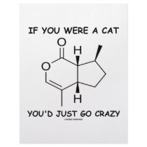 If You Were A Cat You'd Just Go Crazy letterhead