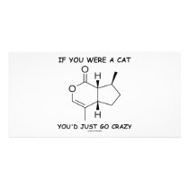 If You Were A Cat You'd Just Go Crazy photo cards