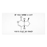 If You Were A Cat You'd Just Go Crazy Photo Greeting Card
