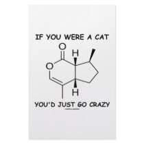 If You Were A Cat You'd Just Go Crazy stationery