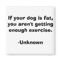 If your dog is fat, you aren't getting enough exer magnets