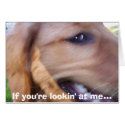 If you're lookin' at me... cards by lvtloud If you're lookin' at me... cards