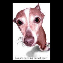 IG eyes posters