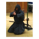 Iga Ninja Meditation Postcards
