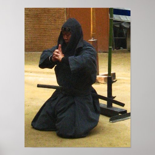 Iga Ninja Meditation Posters