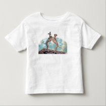 IGinfrequentFlier t-shirts