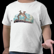 IGinfrequentFlier t-shirts