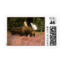 Igloo Bull Moose postage