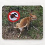 Ignorance Is Bliss Mouse Pads