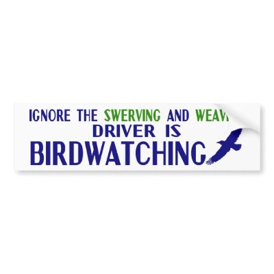Ignore the Swerving Bumper Stickers by nakedzealot