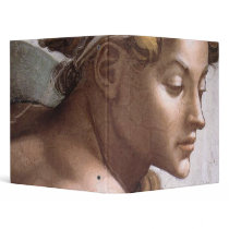 Ignudo Vinyl Binders