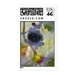 _IGP2709 postage