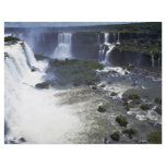 Iguacu Falls from the air, border of Argentina and Personalized Flyer