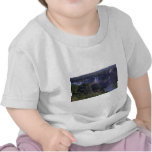 Iguacu Falls in Brazil and Argentina T Shirts