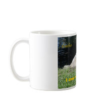 Iguana Aruba mugs by Diepgang Iguana Aruba mugs