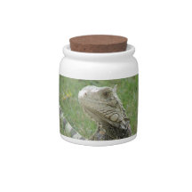 Iguana  Candy jar