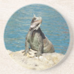 Iguana Coaster