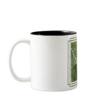Iguana Coffee Mug