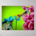 Iguana & Frog Poster